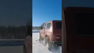 НИВА ПО ЦЕЛИНЕ 