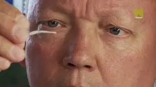 Растения под микроскопом