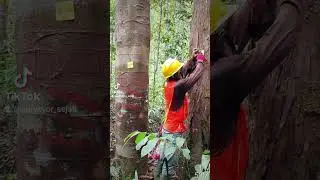 My team Rupa Bumi Survey