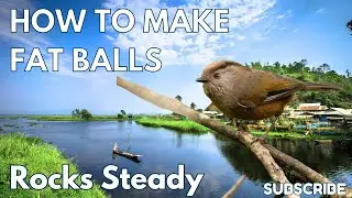 🐦‍⬛How to Make Fat Balls the Birds Can Not Resist ‼️| Rocks Steady 🐦