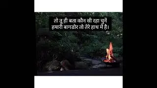 ✍🏻ZINDAGI ✍🏻 - UrstrulyVanshika • Poetry