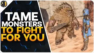Enshrouded | HOW TO GET A COMBAT PET! - Taming in Enshrouded