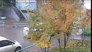 Массовая драка со стрельбой произошла на Горском в Новосибирске - Полное видео
