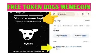 telegram dogs memecoin  list in gate io 4days to go. #telegram #dogs #memecoin