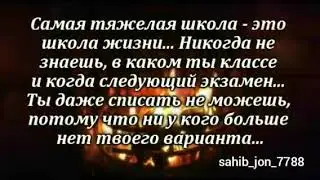 Цитаты про смысл жизни!