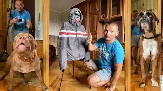 ЧУЖОЙ В ДОМЕ! АТАКА СОБАК!
