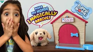 🐾 Magic Puppy Surprise 🐾 (You Won't Believe What Happens Next!) Build my Puppy's Home with me!