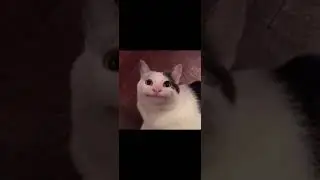 рубрика подкаты с анечкой💓🏩💗