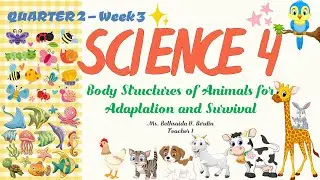 Body Structures of Animals for Adaptation and Survival