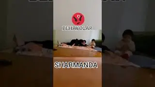 Sharmandalar behayolar