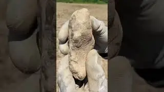 НАХОДКА ИЗ КАМЕННОГО ВЕКА! РЫБОЛОВ КОПАТЕЛЬ! КАМРАД В ШОКЕ!