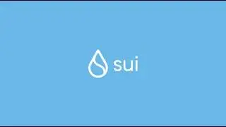 Sui Blockchain vs Traditional Blockchain
