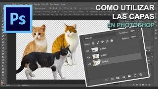 Como utilizar, ordenar y administrar las capas en Photoshop