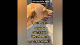 2 июля 2024 г. Беларусь.🆘🆘🆘🆘 Опять  новая жертва😩! Никому не нужная девочка!!! А это значит укол..