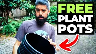 How I Get FREE Plant Pots ~ Easy DIY Garden Hack!