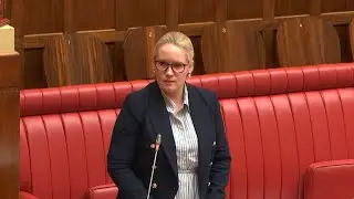 Speech - State Labor Government