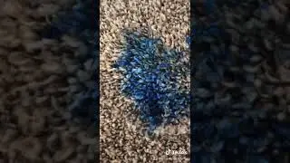 Removing Pen Ink From Carpet