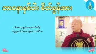 ဘာဝနာနှစ်ပါး စိတ်ခွန်အား - ပါမောက္ခချူပ်ဆရာတော်ကြီး ဒေါက်တာနန္ဒမာလာဘိဝံသ