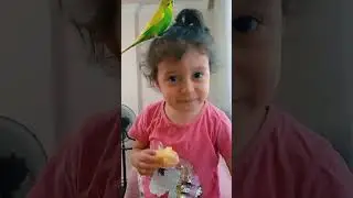 Findikla anılar... #muhabbetkusu #muhabbetkuşuseverler #hayvanlar #kuslar #birds #animals