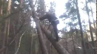 Ёбаный пиздец