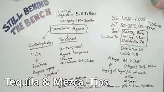 Ep 039 - Tequila and Mezcal Tips