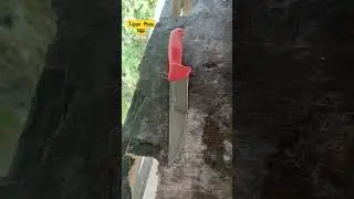 Pisau Pierge Lapah Daging