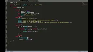How to use getopt in C