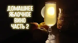 Домашнее яблочное вино. Часть 2. Снятие с осадка. Дегустация
