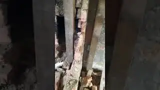 Состояние нашего дома