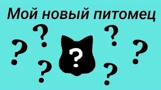 I have a new pet • who is it?