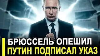 Putin Strikes: While Trump Is Preoccupied with Iran.. One Statement Caused Panic for Everyone