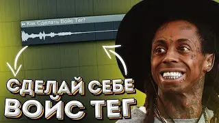 КАК БЫСТРО СДЕЛАТЬ ХОРОШИЙ ВОЙС ТЕГ?