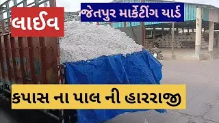 કપાસ ના પાલ ની હારરાજી લાઈવ જેતપુર માર્કેટીંગ યાર્ડ તા 22.06.2023 | Live kapas in harraji Jetpur Yad