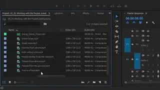 Adobe Premiere - Work with the Project panel