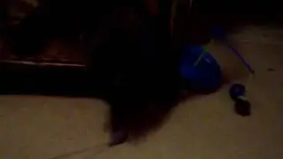 meursault playing.MOV