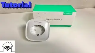 Blitzwolf BW-SHP2 Tasmota OTA Flash mittels tuya convert