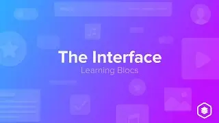 The Interface