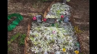 Бобмит с Псевдосычей и Социофобов
