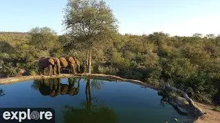 Africam Rosie's Pan powered by EXPLORE.org