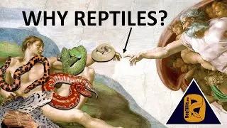(S1E1): Why Herpetoculture?
