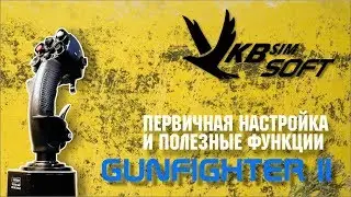 VKB GUNFIGHTER II Joystick Setup and Useful Features