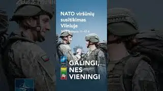 NATO viršūnių susitikimas Vilniuje
