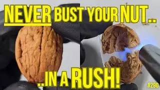 290. CAN HE Turn A WALNUT SHELL Into A Piece Of RESIN ART JEWELRY?!