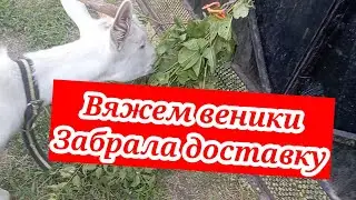 Переезд на юг/забрала доставку/вяжем веники/Moving to the south / took delivery / knitting brooms/