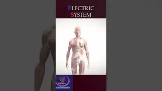 Body Producing Electric animation