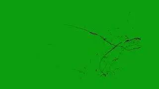 Blood Splatters Green Screen 03 Free Video  stock videos