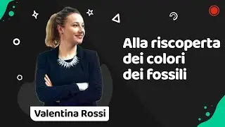 Alla riscoperta dei colori segreti dei fossili