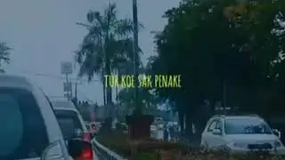 video tik tok