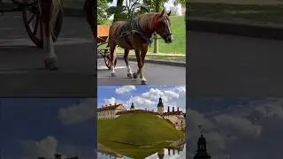 Этот город полон  тайн!This city is full of secrets!