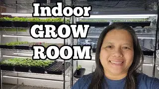 New Seedling Grow Station with LED Lights to Provide Adequate Lighting for Young Seedlings